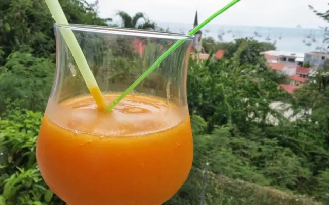 Villa Le Paradis