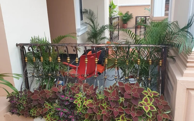 Mexiloyd Luxury Rooms & Suites