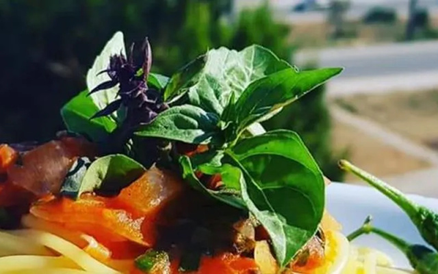 Blue Life Hotel - Restaurant