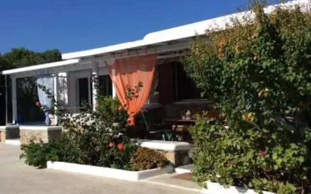 Liana Studios