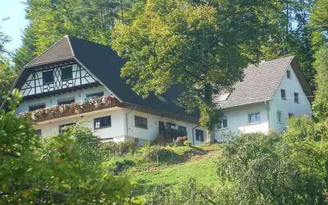 Grüner Ausblick