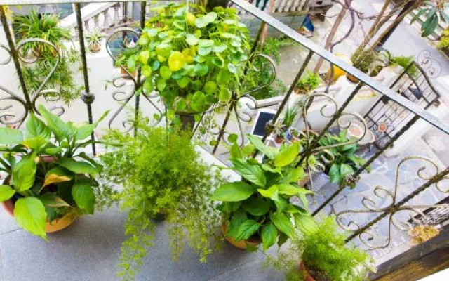 Hangzhou Yueshu Homestay (Xihu Zhejiang University)