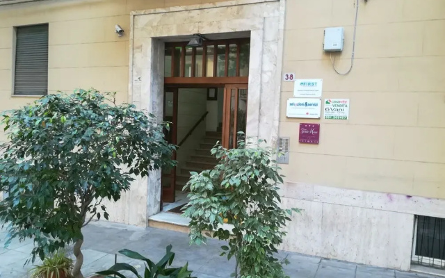 Tetide Home