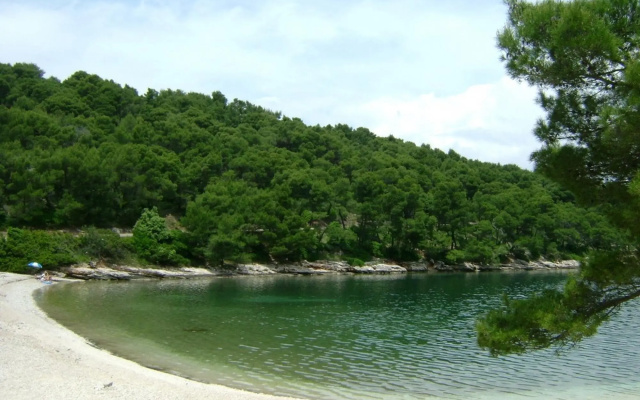 Kat - 80 m from beach - A2(2)