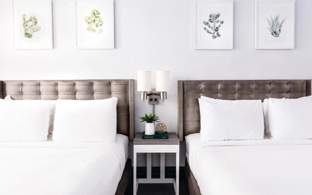 Отель Tilden Hotel