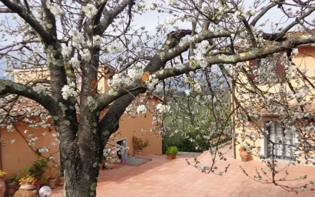 Podere Capiteto