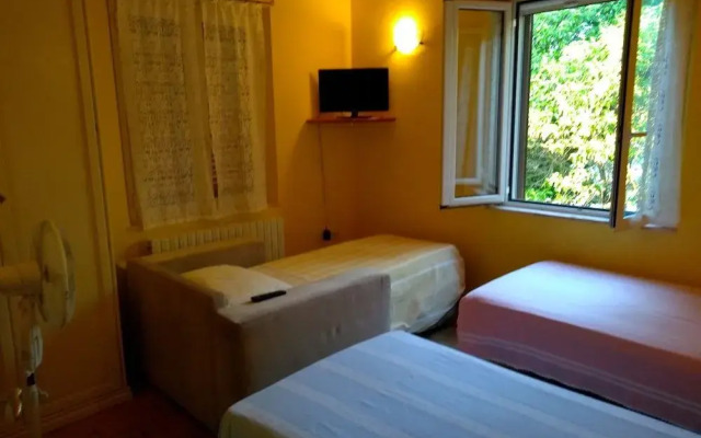 Edera