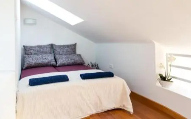 Apartment MAV