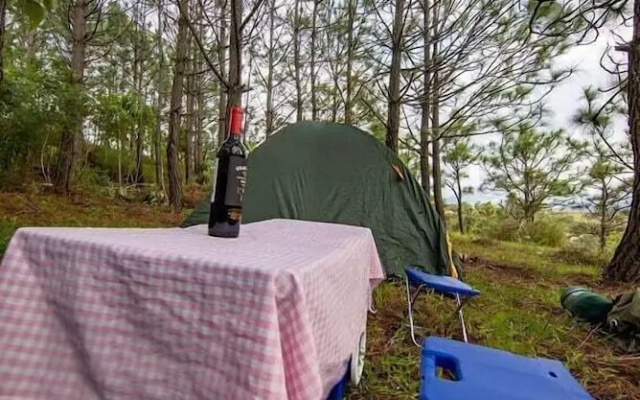 Camping de Los Peroles