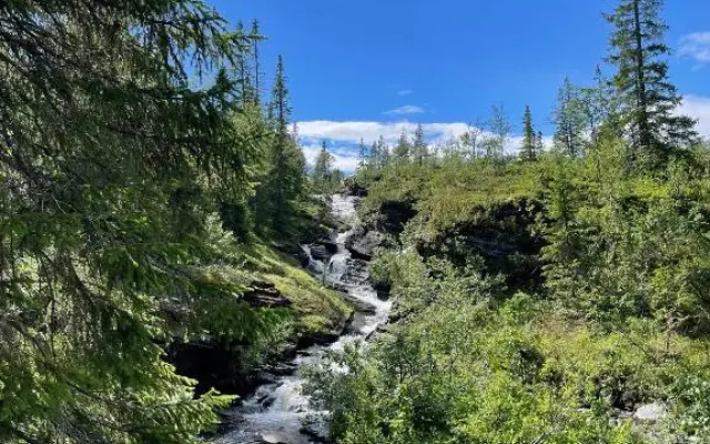 Storliens Fjällyor