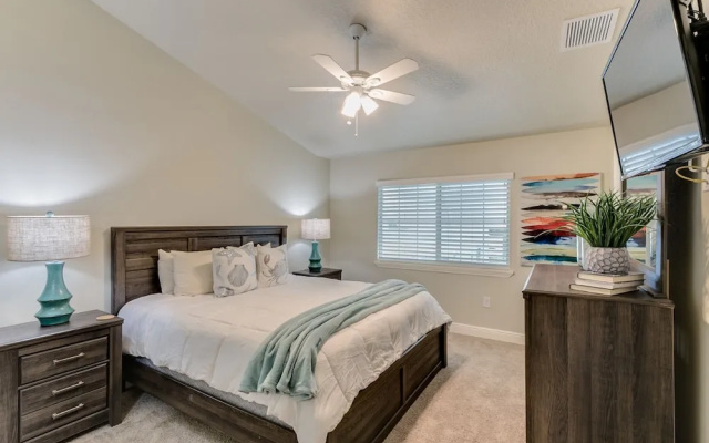 Dolphins Vacation Rental