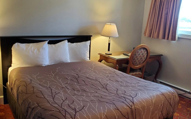 Stay Easy Inn
