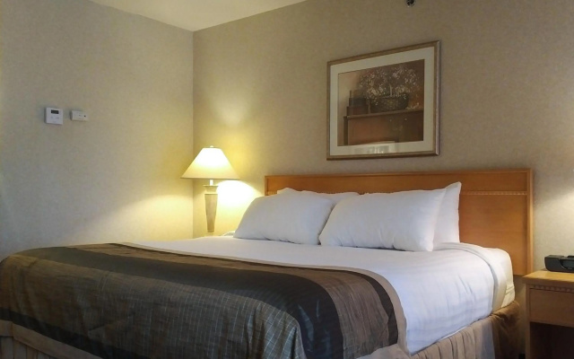 Flamingo Hotel