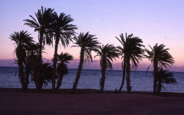 Star Of Dahab Hotel