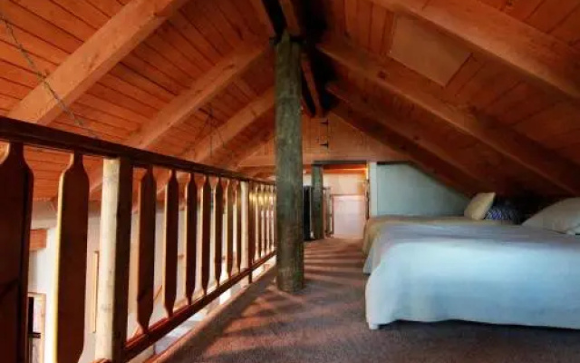 Tree House Lodge