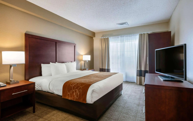 Comfort Suites Downtown