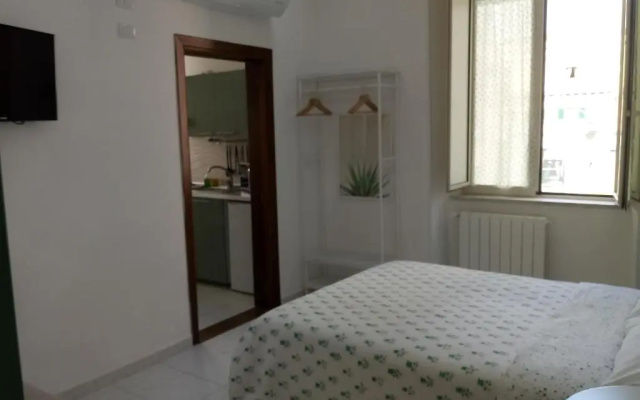 Magic Napoli Green