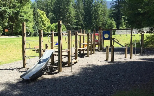 Mt Baker Lodging Cabin 25 - Sleeps 6