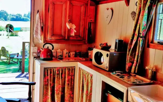 Shepherd's Hut in Romsey With Fire Pit