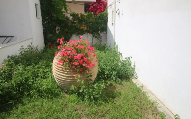 Utopia Kavos Hotel