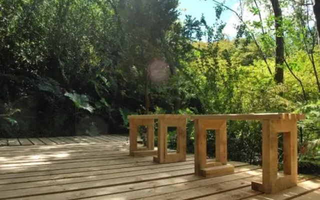 Chucao Bosque y Cabañas