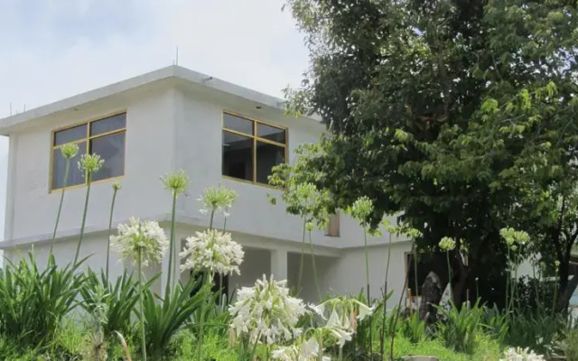 JM Butterfly B&B
