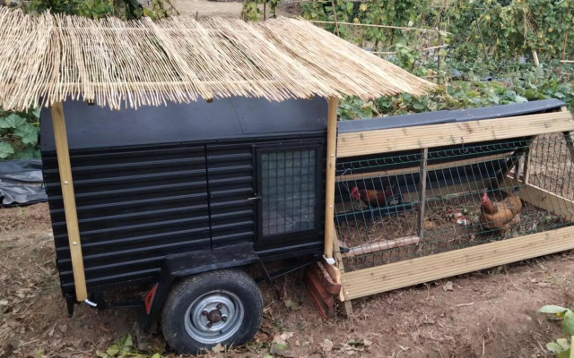 Galo Preto - Urban Agriculture - Healthy Food