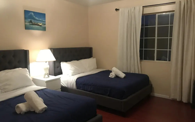 Cozy Hollywood