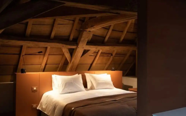 Stately 16-person Manor Farm in South Limburg