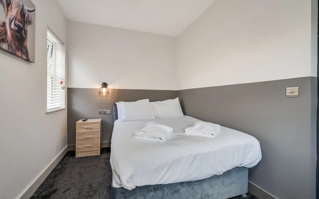 Central Belfast Apartments: University Street