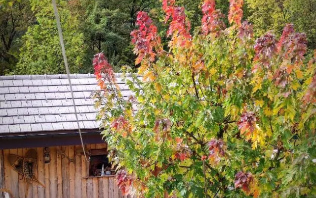 Gîte La Patte Nordic Chalet
