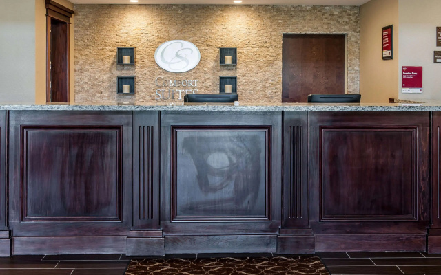 Comfort Suites Rensselaer near Fair Oaks