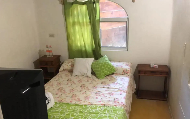 Lush Boutique Hotel