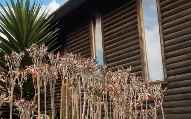 Cabañas Punta de Lobos
