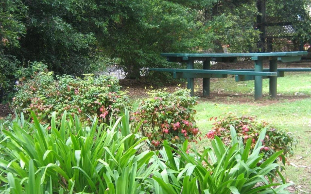Palmwoods Caravan Park Cabin