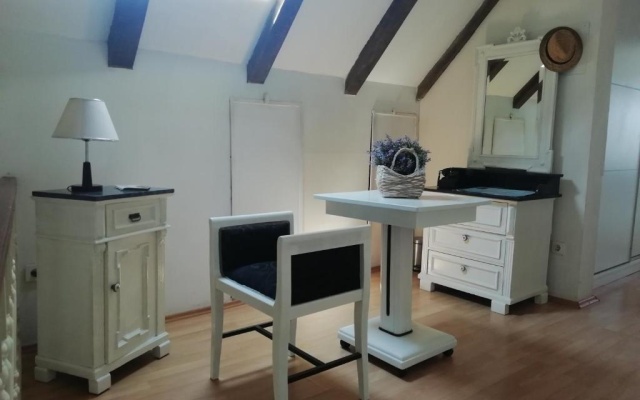 Studio apartman u renesansnoj vili