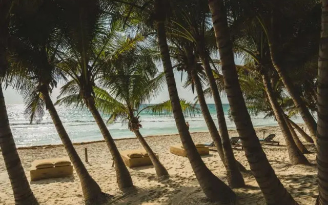 Ether Tulum