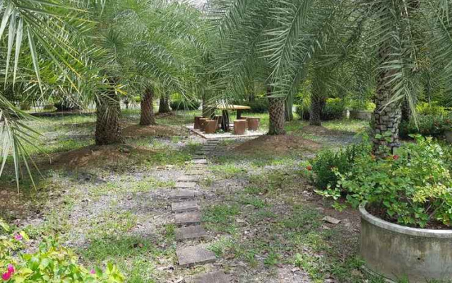 Rompalm Resort Saraburi