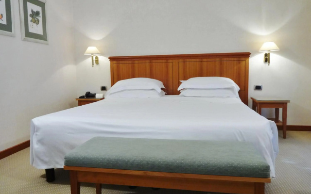 Hotel Excelsior Magenta
