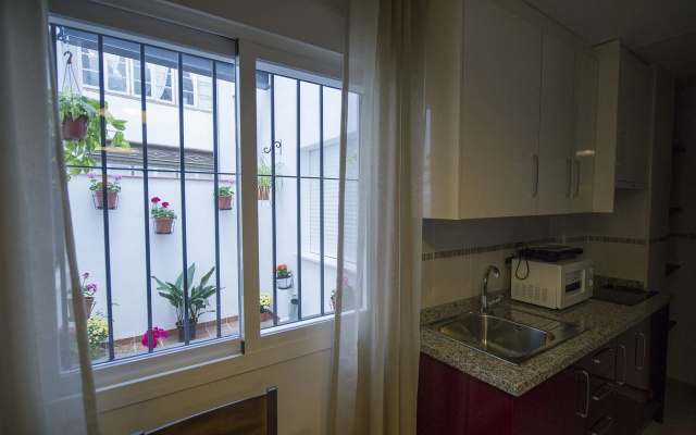 Gibralfaro Centro Apartaments