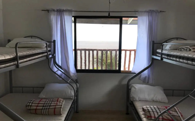 Hostel Lions
