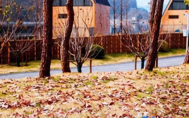 Longhu Mountain Heming Valley Qishe Homestay