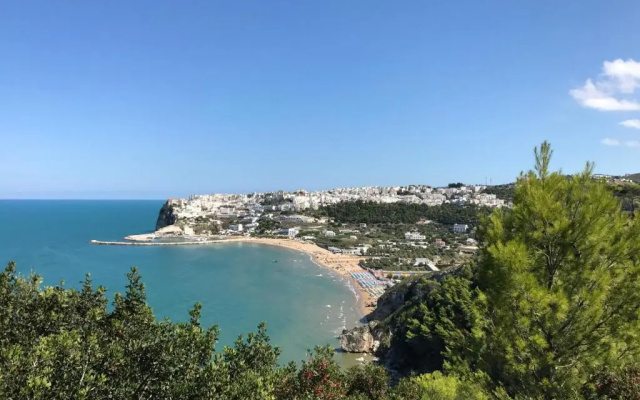 Le Bouganvillea