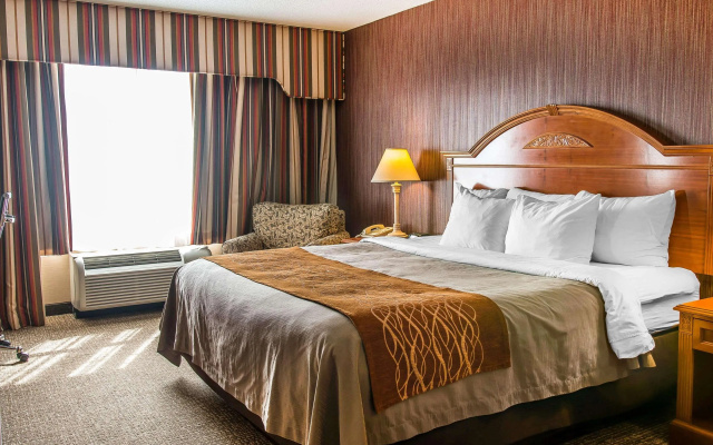 Hampton Inn Chelsea, MI