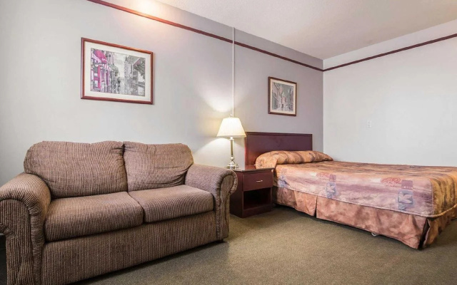 Repotel Levis