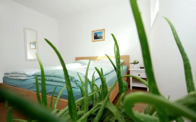 Ferienwohnung Fembacher