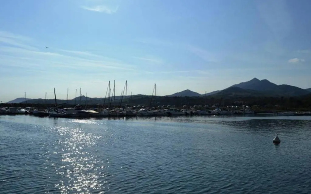 Appartement Argelès-sur-Mer, 2 pièces, 6 personnes - FR-1-225-464