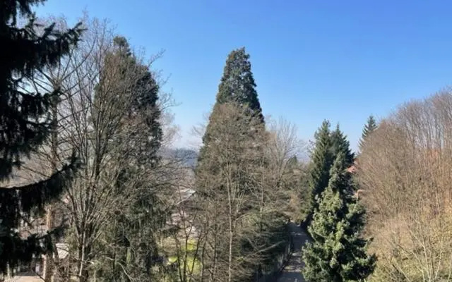 Urlaub im Schwarzwald! GHP440