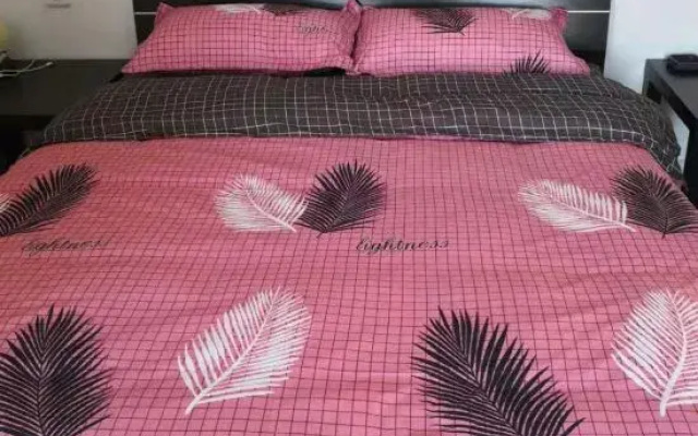 Harbin Breeze Homestay