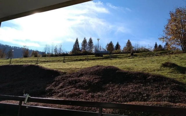 Appartement Nr 99, Alpenappartementhaus, Oberstaufen-Steibis, Allgäu